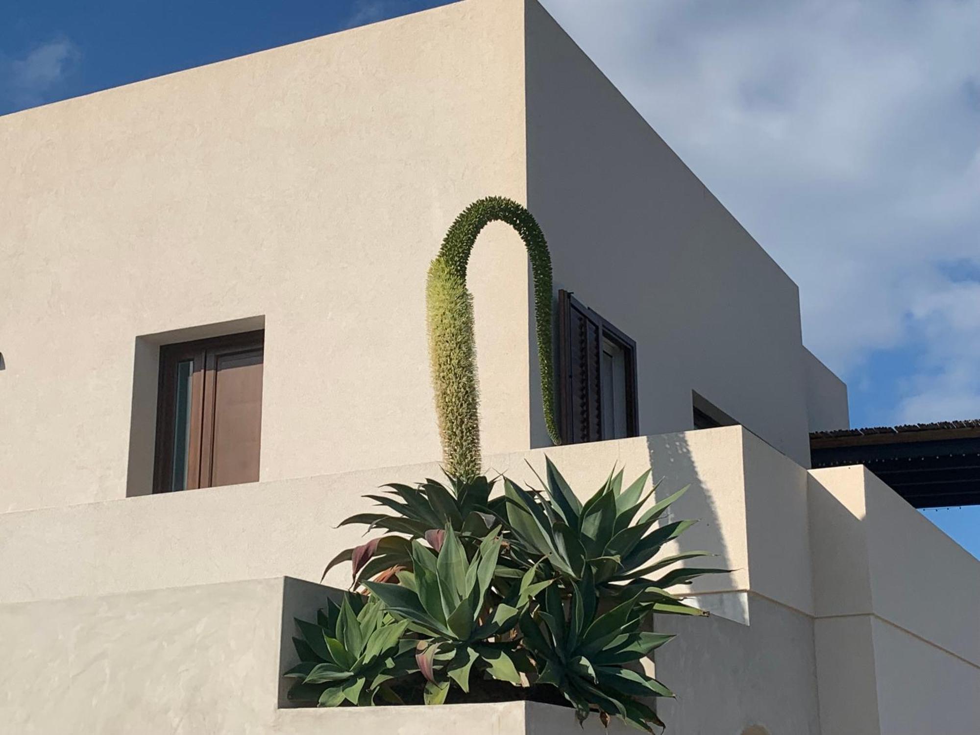 Apartamento L'Oasi Di Pace Pantelleria Exterior foto